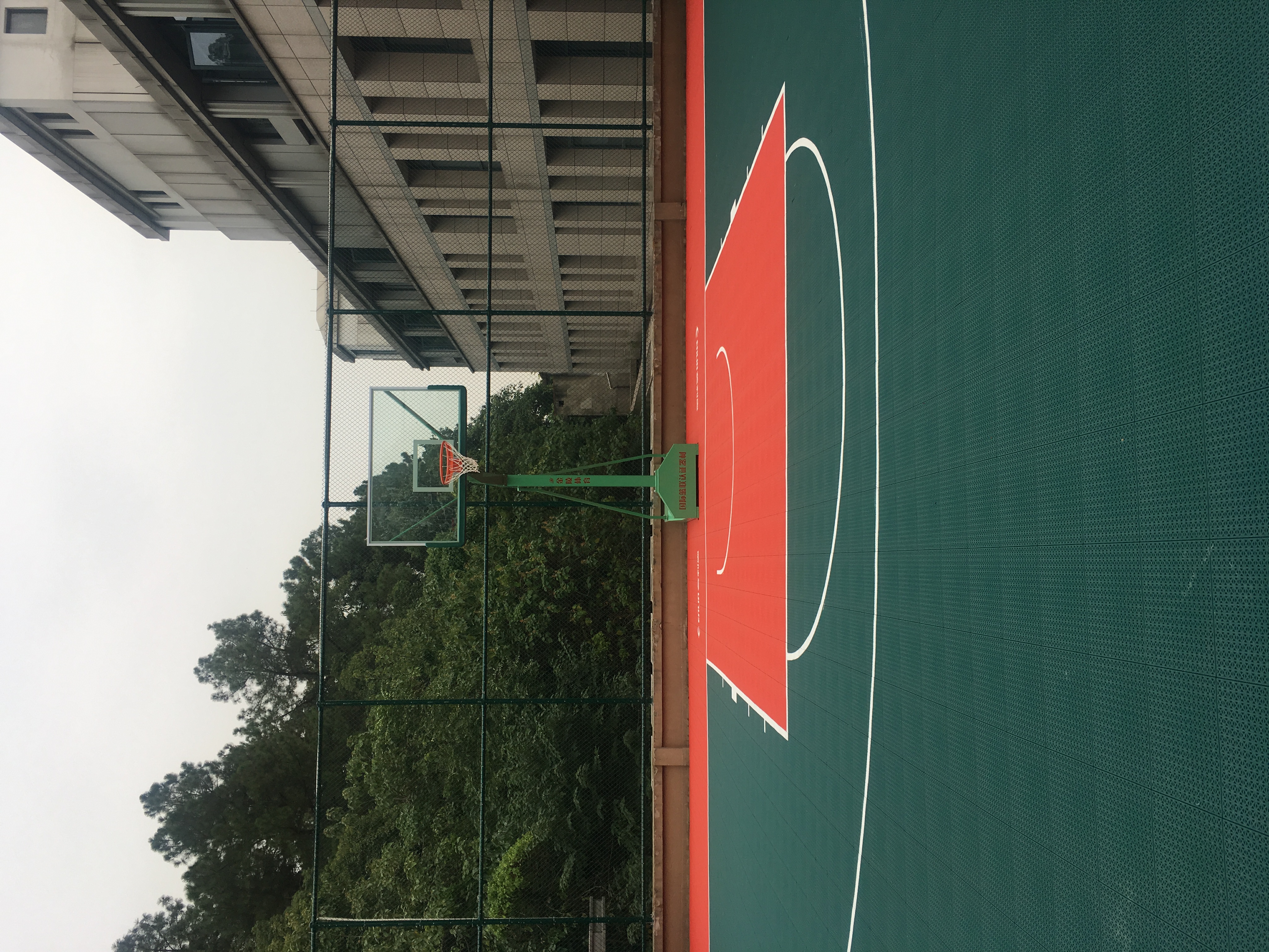 臨平區(qū)黨?；@球場