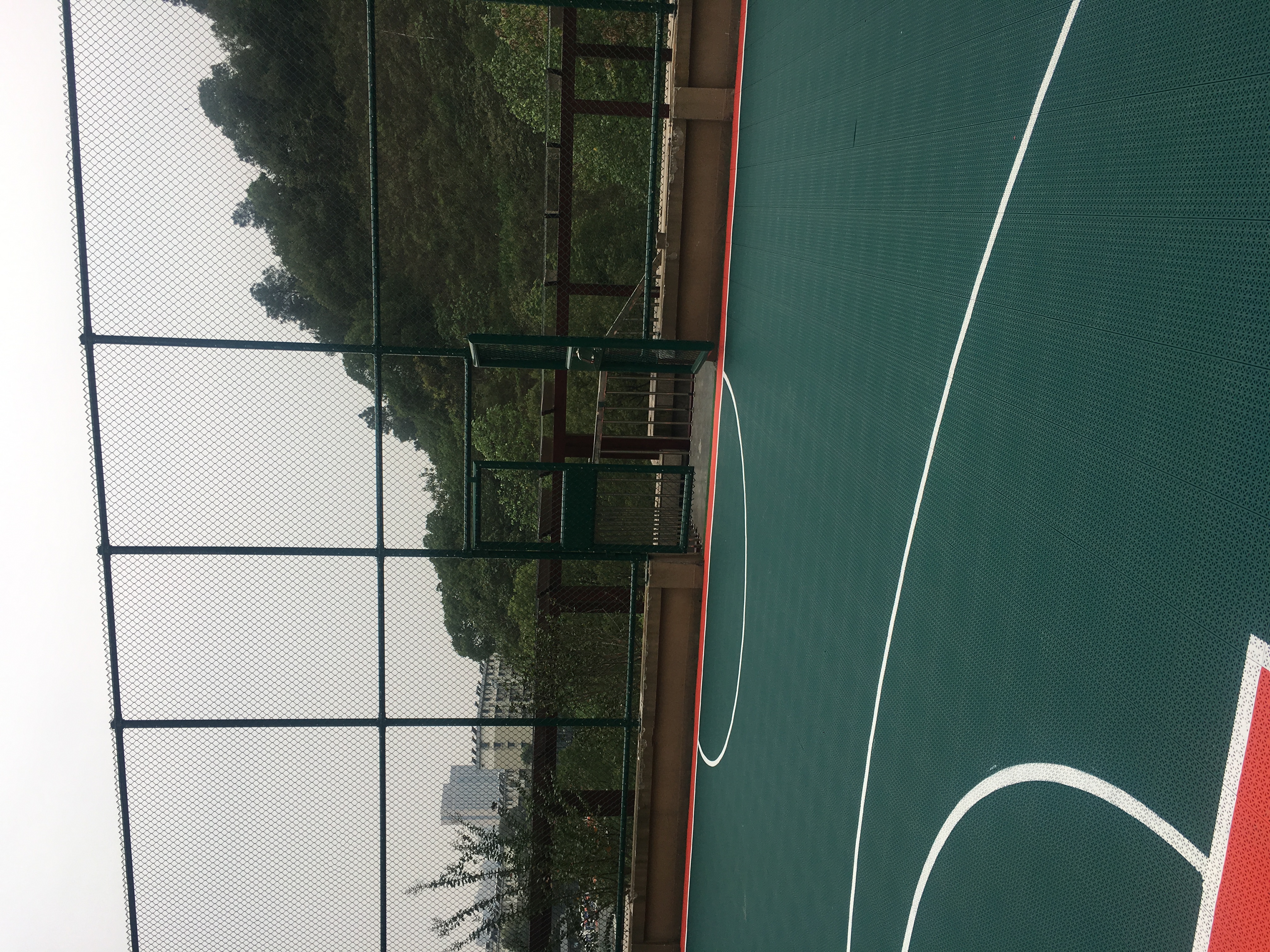 臨平區(qū)黨?；@球場